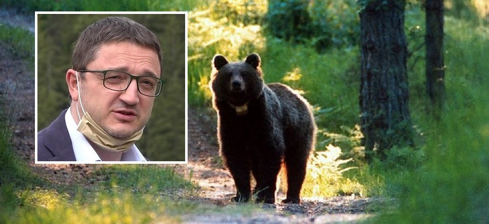 “Non ho coraggio con gli orsi?